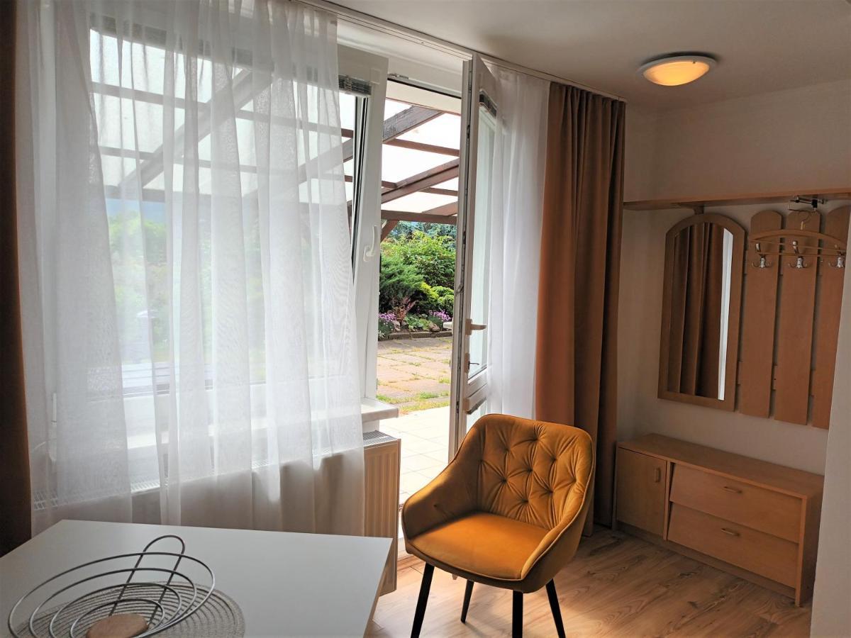 קרלובי וארי Apartman Alena מראה חיצוני תמונה